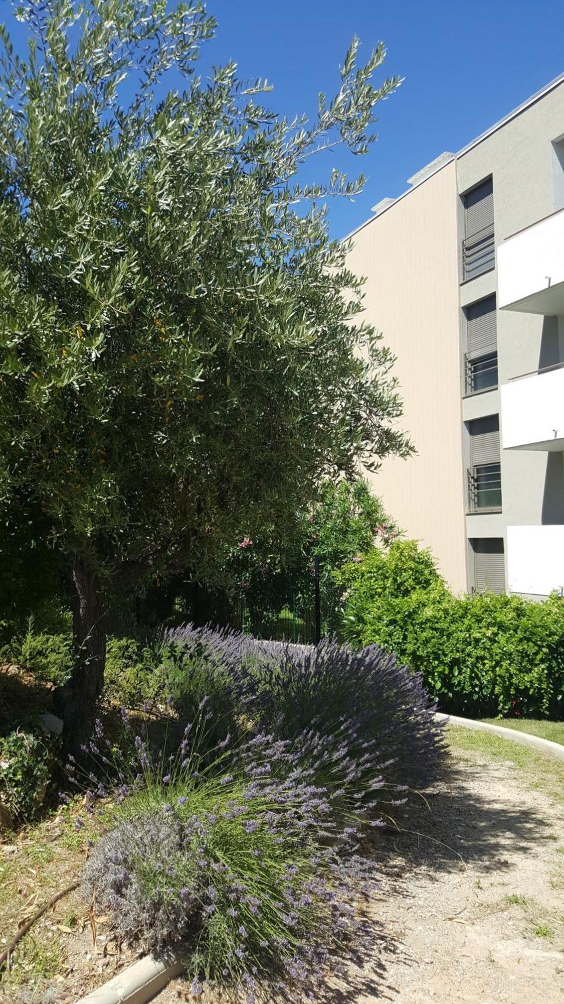 Studio Vista Apartment Antibes Exterior photo